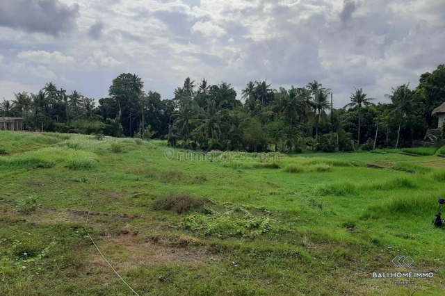 Land in Pererenan - Leasehold - PM059, Pererenan, Badung