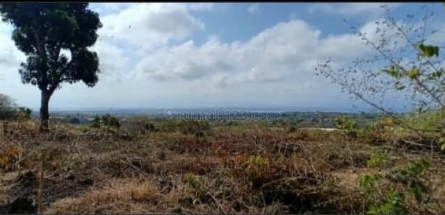 Tanah murah di Nusa Dua hanya 15 min to Mulia Hotel, St.Regis, Grand Hyatt, Diapit 2 lapangan Golf, harga 15M, Nusa Dua, Badung