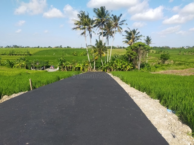 Tanah kavling di pererenan, Pererenan, Badung