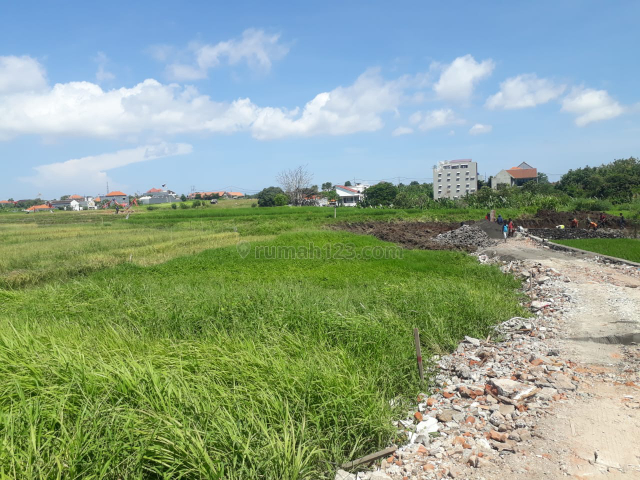 Tanah kavling Kayu tulang Canggu, Canggu, Badung