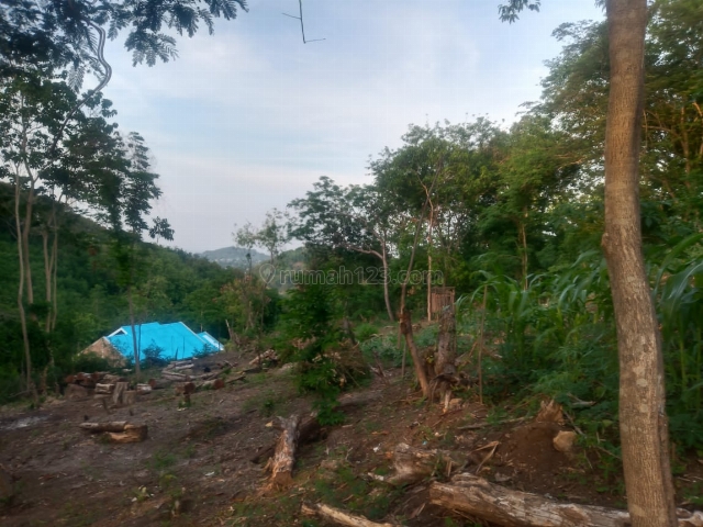 Tanah 1.050 m2 berada di samping hotel/resort di labuan bajo, 789 juta. Cocok untuk villa pribadi, Komodo, Manggarai Barat, Labuan Bajo, Manggarai Barat