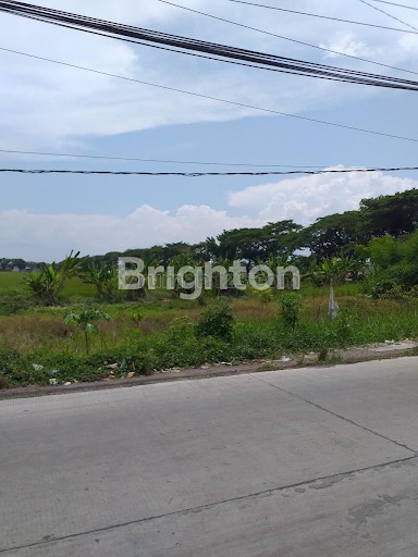 Tanah 0 jalan raya Kepulungan Sedati Sidoarjo cocok untuk usaha Toko, depot makanan, depit air isi ulang, warkop, laundry, service motor dll., Sedati, Sidoarjo