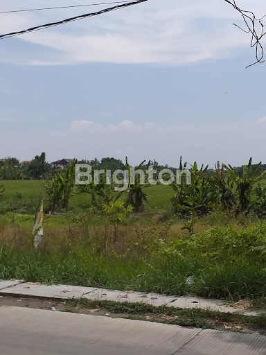 Tanah 0 jalan raya Kepulungan Sedati Sidoarjo cocok untuk Toko, Fepit makanan, depot air isi ulang, warkop, laundry, service motor dll., Sedati, Sidoarjo