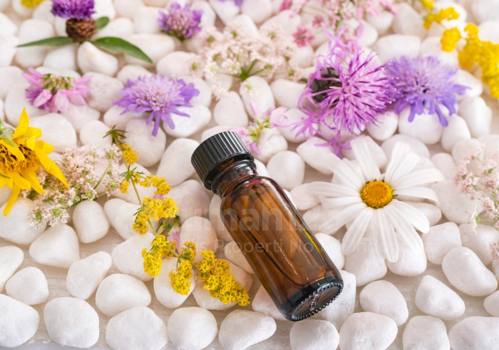 essential oil - rumah123.com