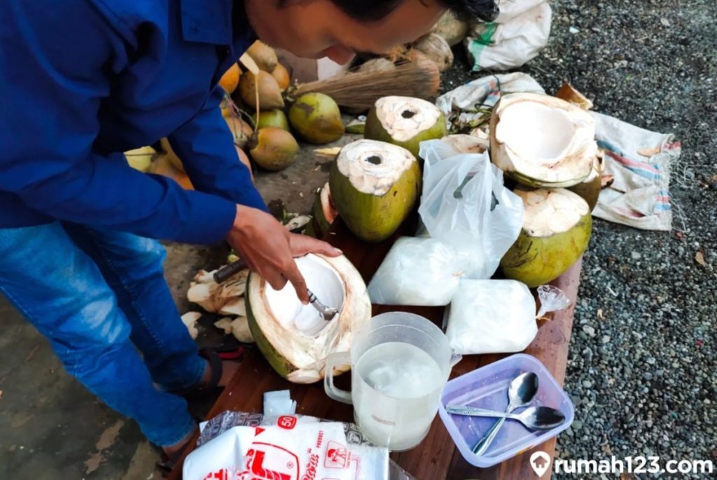 manfaat air kelapa hijau