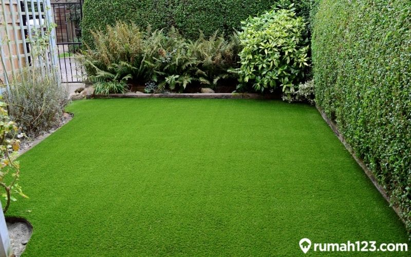 rumput taman
