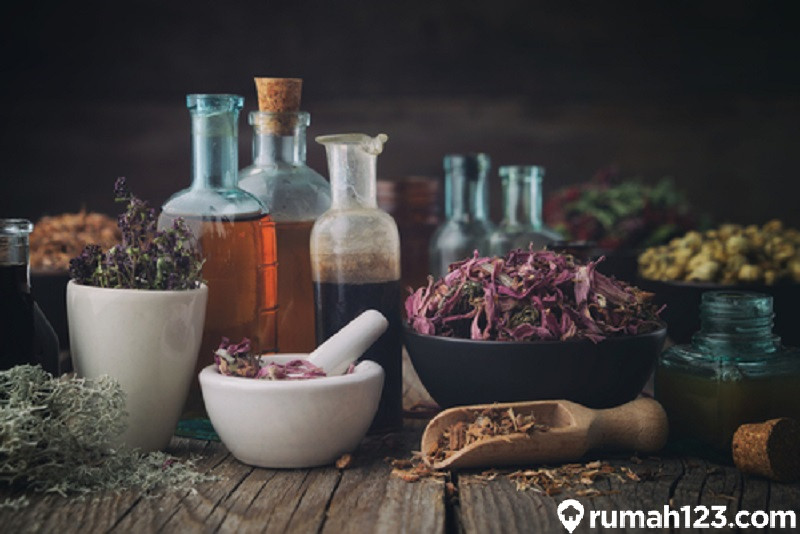 Tanaman yang menghasilkan di masa depan herbal