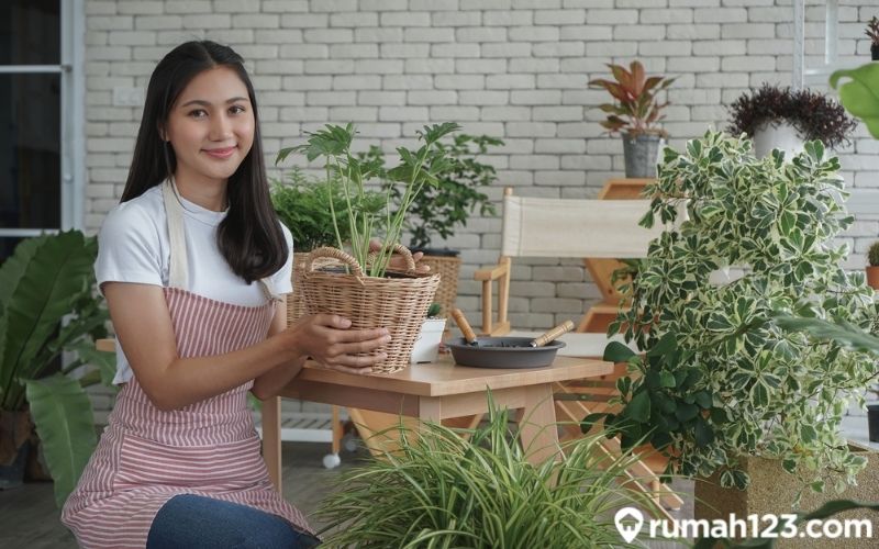 tanaman menjanjikan di masa depan