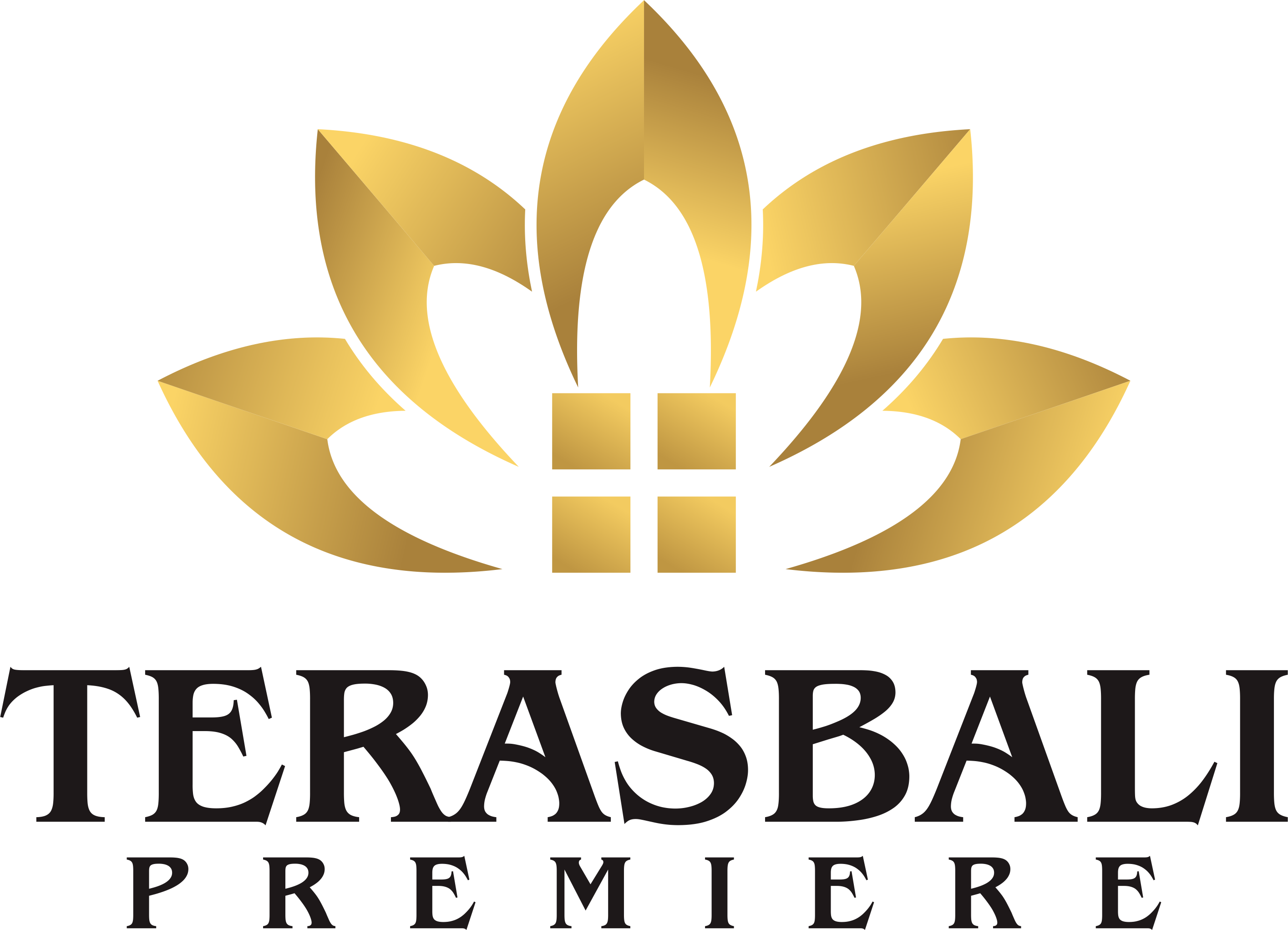 Terasbali Premiere